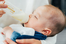 画像をギャラリービューアに読み込む, 京都 お食い初め・100日記念の出張写真撮影|ファミフォト関西