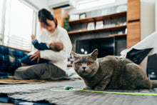 画像をギャラリービューアに読み込む, 京都 お食い初め・100日記念の出張写真撮影|ファミフォト関西