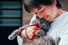 画像をギャラリービューアに読み込む, 京都 お食い初め・100日記念の出張写真撮影|ファミフォト関西