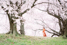 画像をギャラリービューアに読み込む, 兵庫 成人式の出張写真撮影|ファミフォト関西