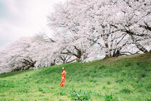 画像をギャラリービューアに読み込む, 兵庫 成人式の出張写真撮影|ファミフォト関西