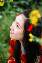 画像をギャラリービューアに読み込む, 成人式前撮り