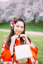 画像をギャラリービューアに読み込む, 成人式前撮り