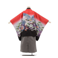 画像をギャラリービューアに読み込む, 5歳男の子 はかま 赤から黒ぼかし・鷹 松に分銅文 (No.7515)