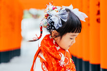 画像をギャラリービューアに読み込む, 七五三