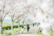 画像をギャラリービューアに読み込む, 入園卒園・入学卒業