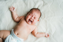 画像をギャラリービューアに読み込む, 大阪 ハーフバースデーの出張写真撮影|ファミフォト関西