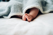 画像をギャラリービューアに読み込む, 大阪 ハーフバースデーの出張写真撮影|ファミフォト関西