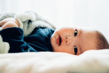 画像をギャラリービューアに読み込む, ハーフバースデー