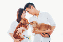 画像をギャラリービューアに読み込む, 大阪 マタニティフォト|ファミフォト関西