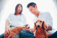 画像をギャラリービューアに読み込む, 大阪 マタニティフォト|ファミフォト関西