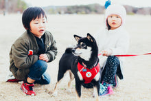 画像をギャラリービューアに読み込む, 兵庫 家族写真(日常・ペット)の出張写真撮影|ファミフォト関西