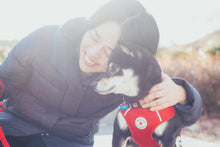 画像をギャラリービューアに読み込む, 家族写真(日常・ペット)