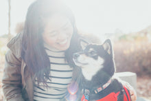 画像をギャラリービューアに読み込む, 家族写真(日常・ペット)