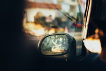 画像をギャラリービューアに読み込む, 家族写真(日常・ペット)