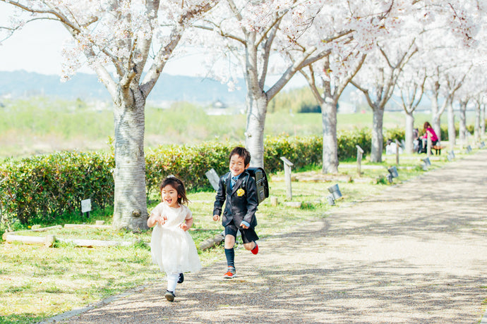 兵庫県小野市 加古川の桜並木道で入学記念 出張写真撮影